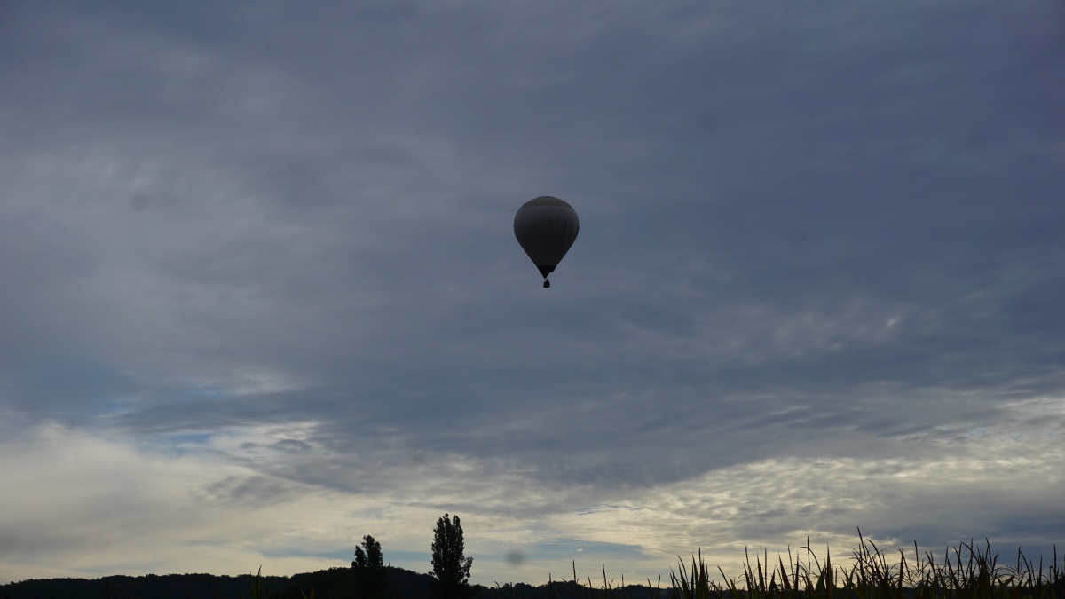 DSC01206